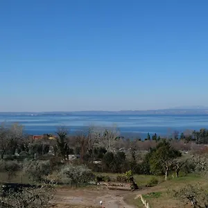 appartamenti-bellini.hotelinveneto.com/